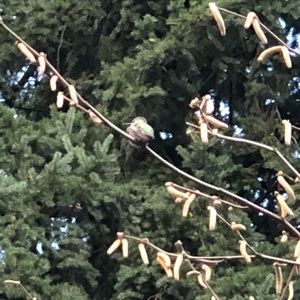 Meet your Posher, Margaryta